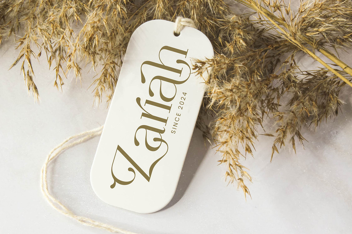 Agiantie | Elegant Tall Serif, a Serif Font by timelesstype.co (Photo 2 of 20)