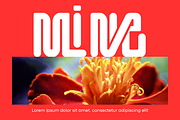 Following Harmony Font, a Sans Serif Font by 177Studio (Thumbnail 5 of 8)