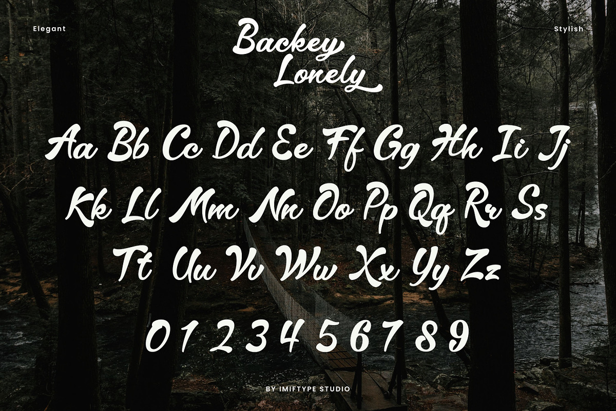 Backey Lonely – Retro Script Font, a Script Font by Imiftype Studio (Photo 8 of 10)