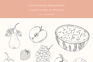 Fruit Salad Vector Illustrations