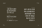 Mioshe Unique and Elegant Serif Font, a Serif Font by Perfectype (Thumbnail 6 of 6)