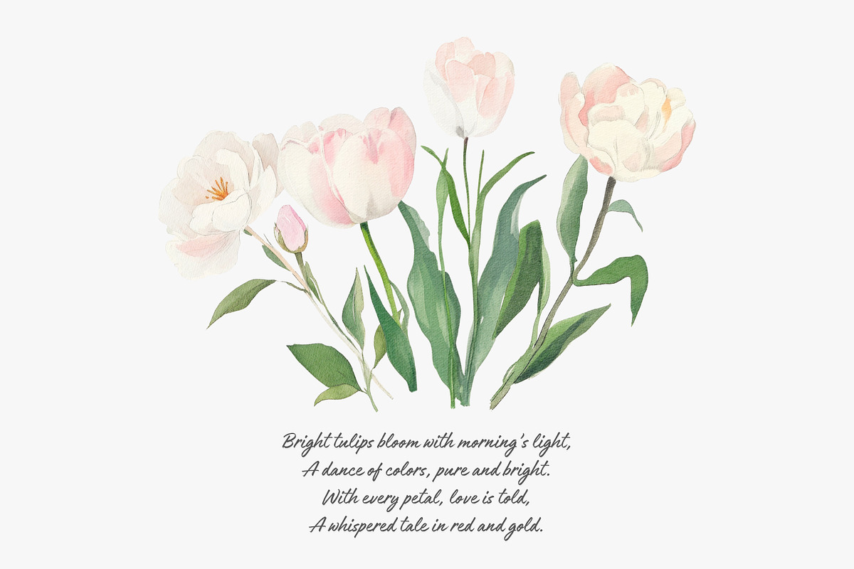 watercolor clipart tulip set, a Decorative Illustration by Patishop Art (Photo 8 of 11)