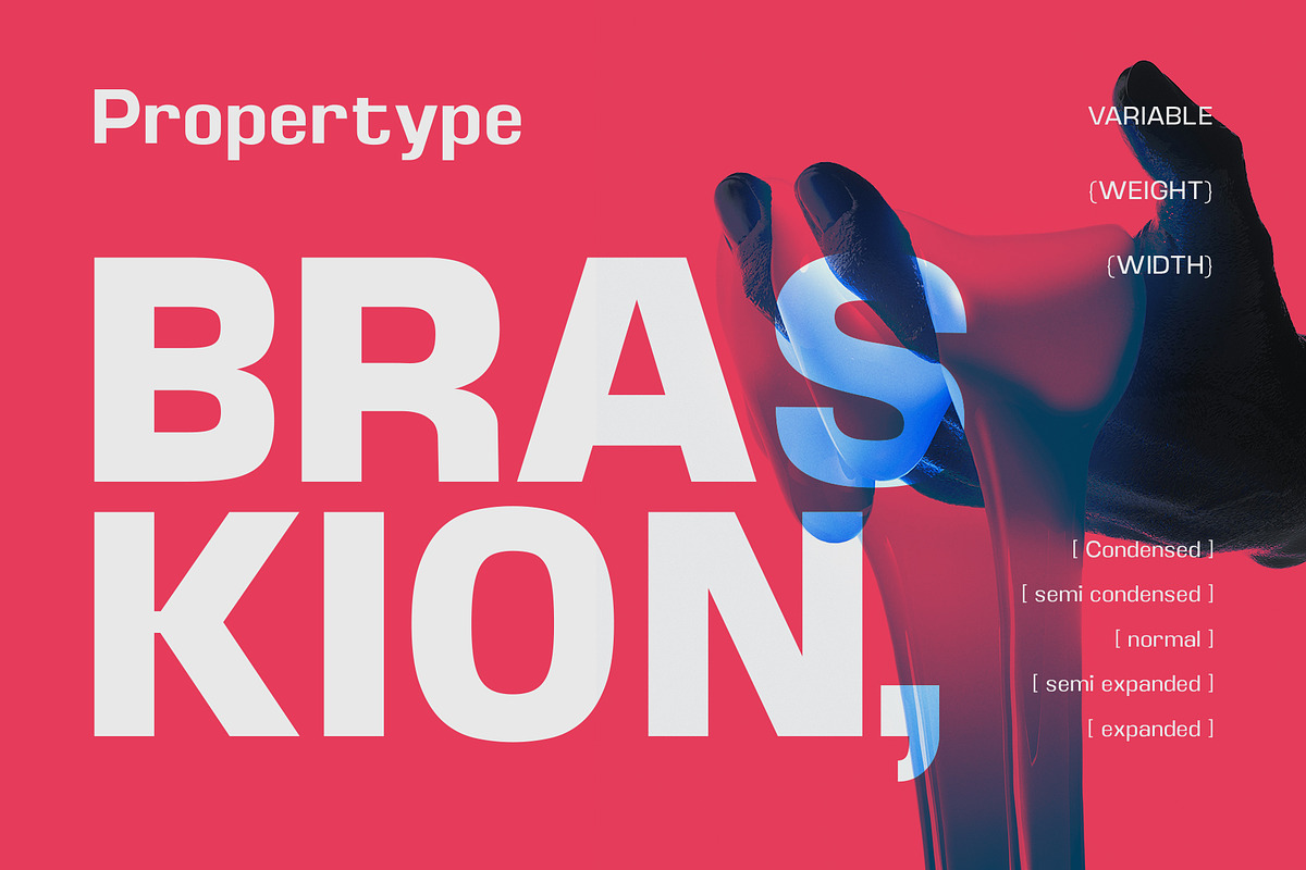 Braskion, a Sans Serif Font by Propertype (Photo 1 of 15)
