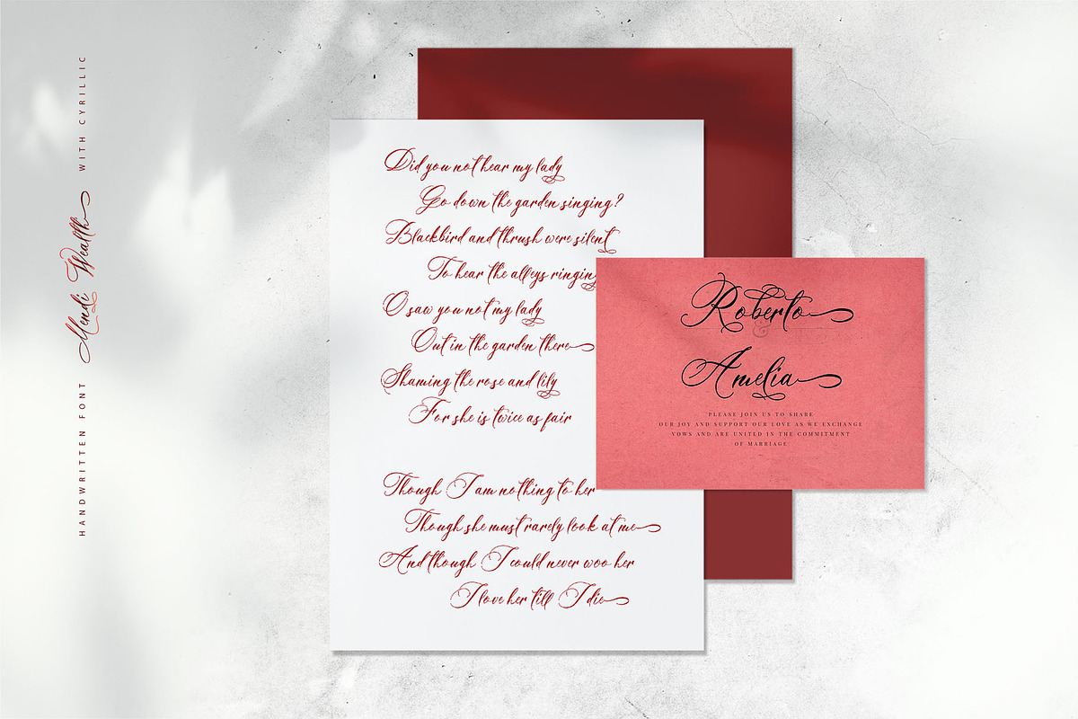 Mendi Wealth Cyrillic Font, a Script Font by IraDvilyuk (Photo 8 of 12)