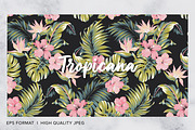 Tropicana, Tropical Print Patterns, a Pattern Graphic by ASTUDIO (Thumbnail 5 of 10)