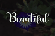 Princes Clipart, a Script Font by FreshTypeINK (Thumbnail 6 of 7)