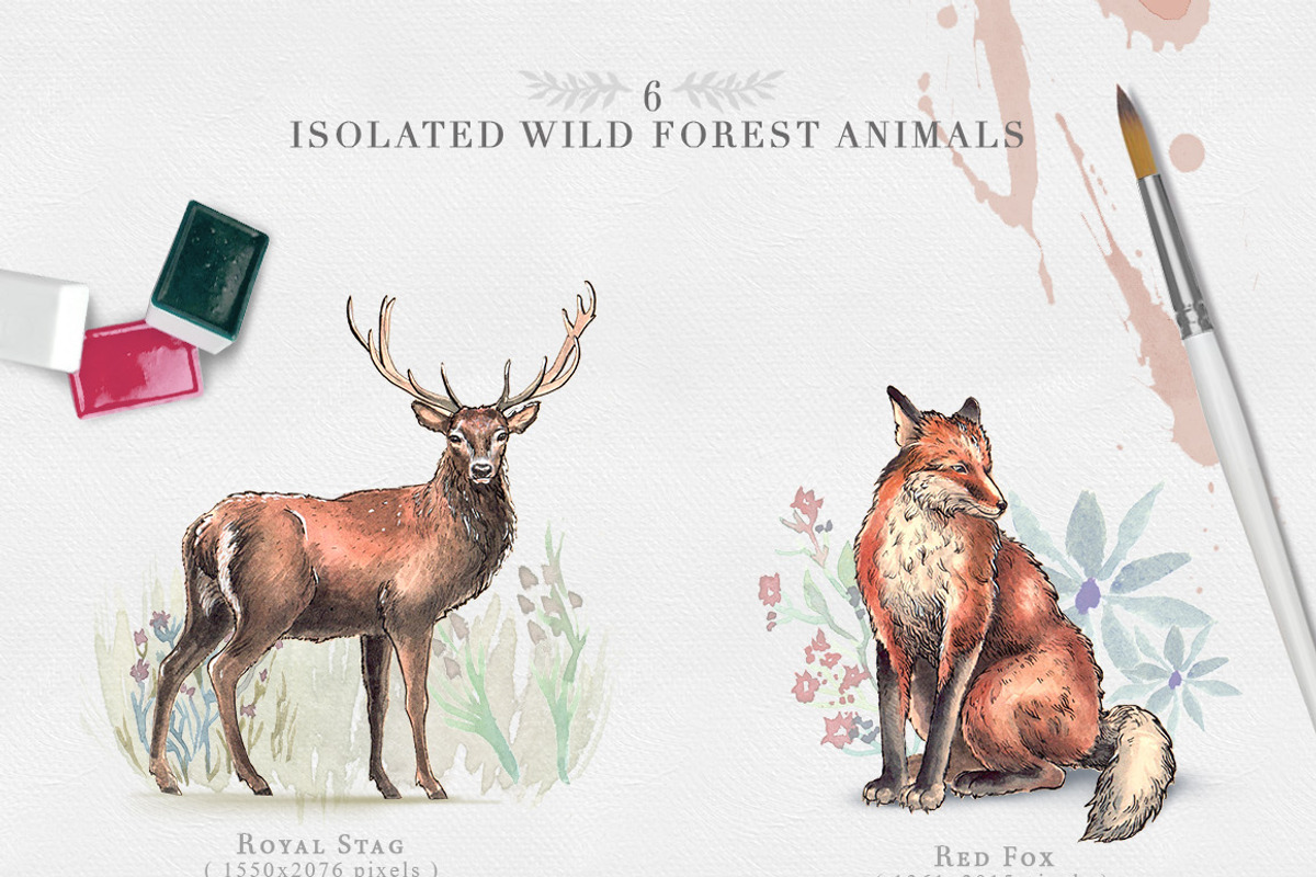 Watercolor Christmas Wild Forest Set, an Animal Illustration by NassyArt (Photo 3 of 9)