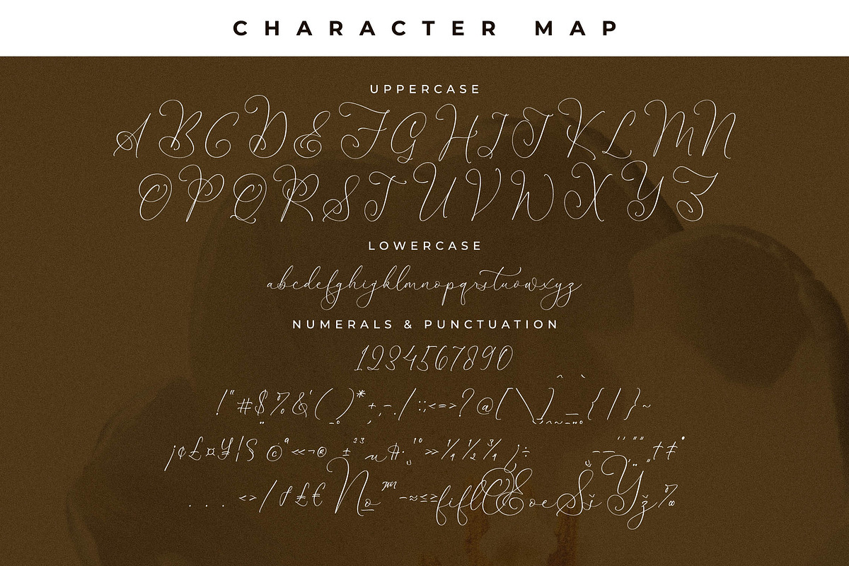 Narque Holden Gold Font Duo, a Serif Font by Storytype Studio (Photo 13 of 15)