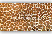 24 Animal Pattern Texture, a Background Graphic by NOMO DESIGN (Thumbnail 7 of 24)