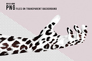 Wild Hands, an Object Graphic by KAT (Thumbnail 4 of 9)