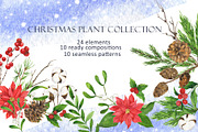 Christmas plant collection, an Illustration by Watercolor & sketches (Thumbnail 1 of 9)