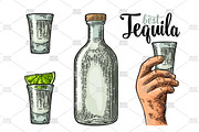 Tequila. Illustrations and posters, an Illustration by MoreVector (Thumbnail 4 of 11)