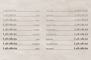 La Volicia Typeface, a Sans Serif Font by Prominent & Affluent (Thumbnail 4 of 12)