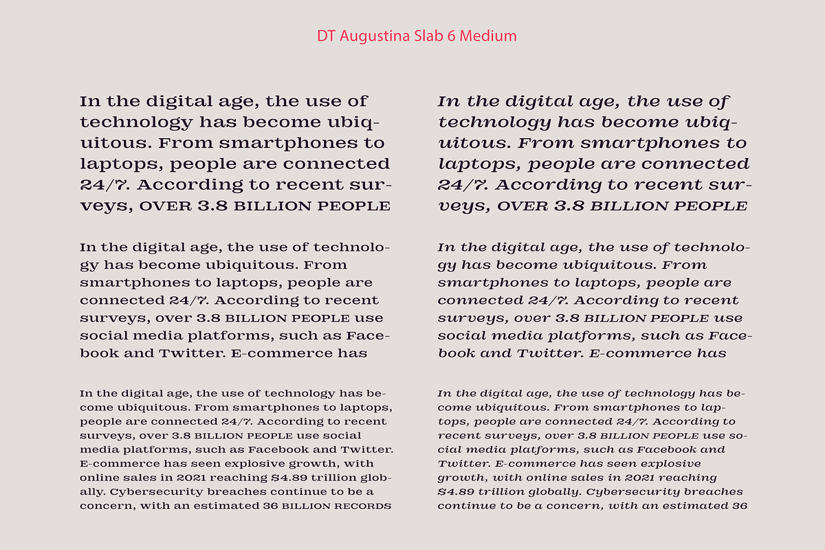 DT Augustina Slab 6 Subfamily, a Slab Serif Font by Deveze Type Foundry (Photo 10 of 30)