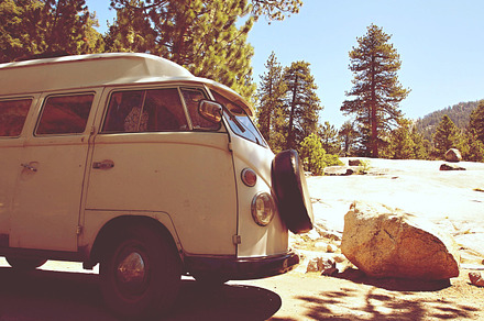 Classic Old VW Bus Parked in Forest