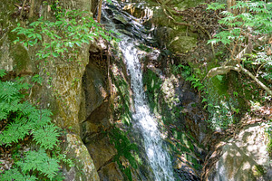 Waterfall at Mitaki-Dera temple in Hiroshima surrounded by mossy, an Architecture Photo by GoodGoods