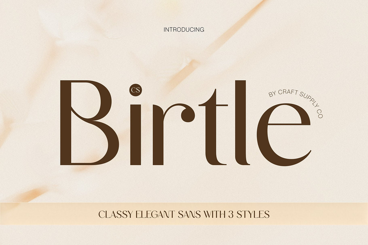 CS Birtle – Classy Sans Serif, a Sans Serif Font by Craft Supply Co. (Photo 1 of 8)