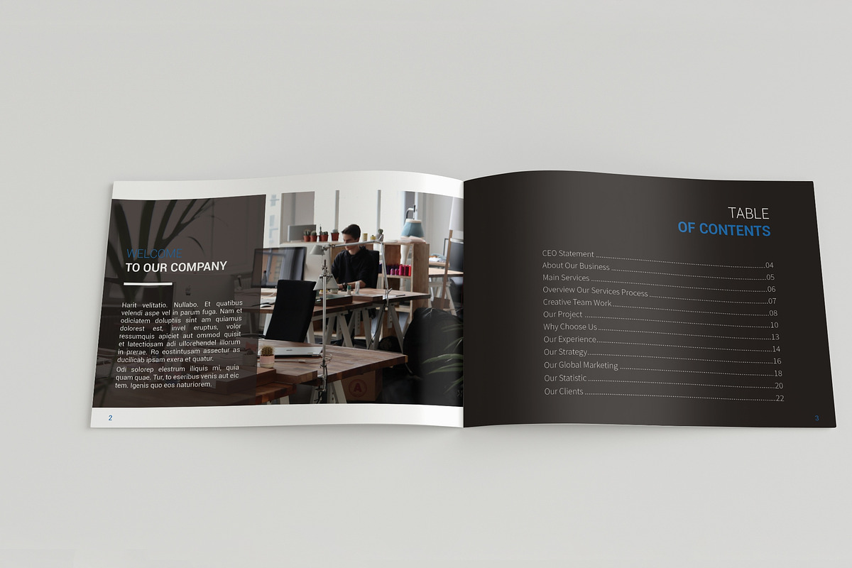 A5 Professional Brochure, a Brochure Template by BoriesBechker (Photo 3 of 11)