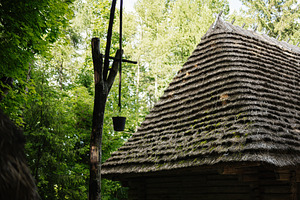 Traditional thatched rural house surrounded by lush green forest in daylight, a Photo by AS photostudio