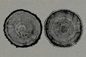 26 Large Tree Ring Textures