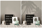 40 Plant Shadows Overlays, a Brushes & More by HappyNews (Thumbnail 10 of 11)