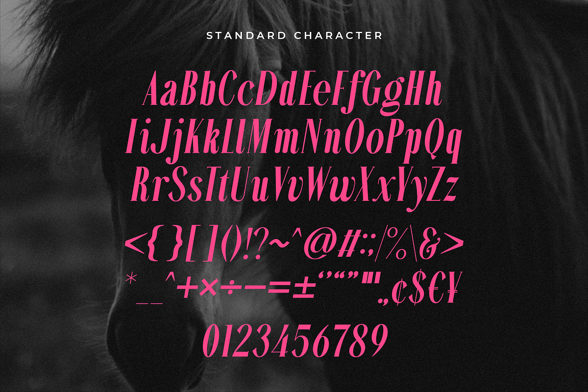 Sellomyth - Italic serif font, a Serif Font by Almeera Std (Photo 6 of 6)