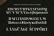 Mersen Boldest - Modern Bold Serif, a Serif Font by Shakira Studio (Thumbnail 10 of 10)