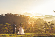 40 Golden Particle Photo Overlays preview 5