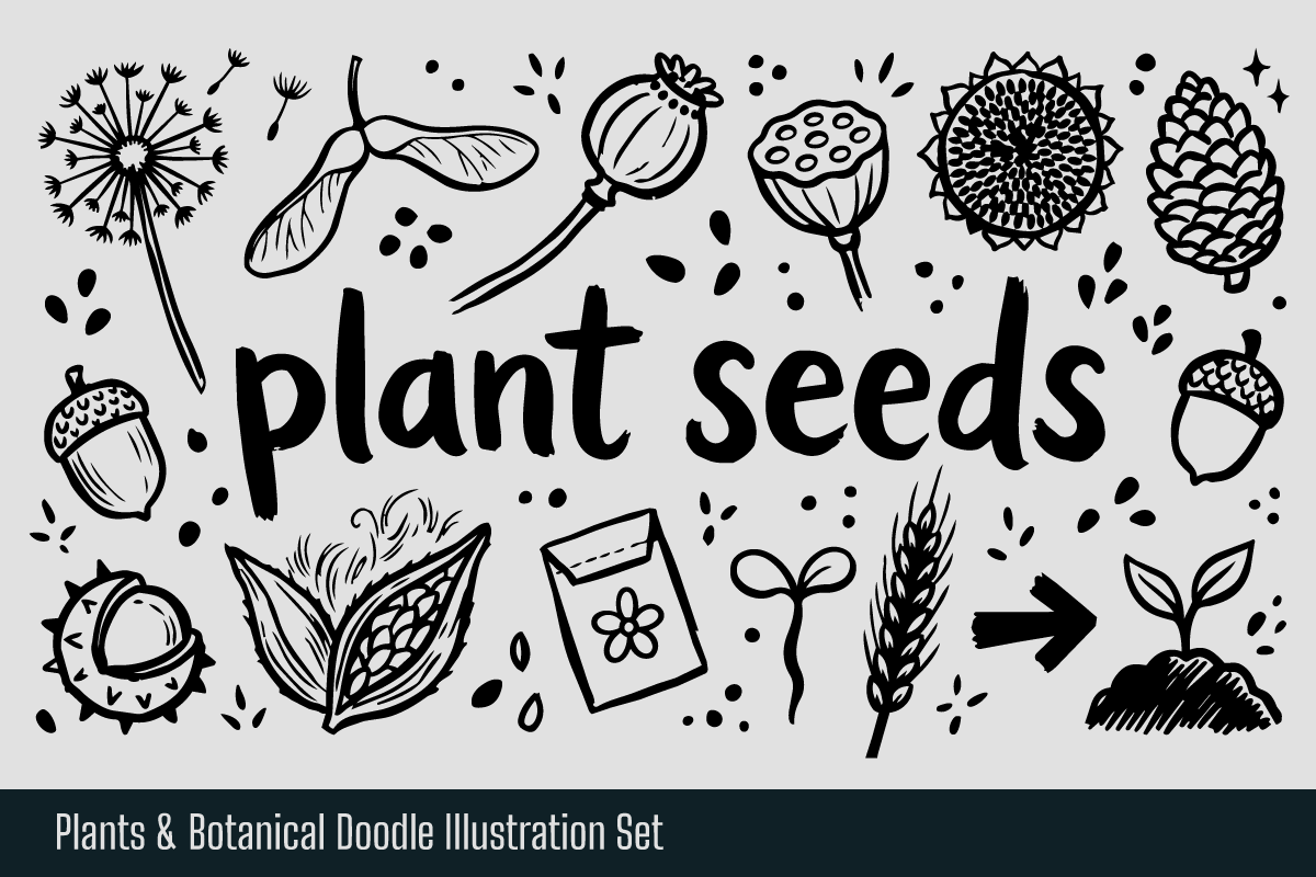 Plants & Botanical Hand-drawn Doodle, an Object Illustration by Huza Studio (Photo 9 of 10)