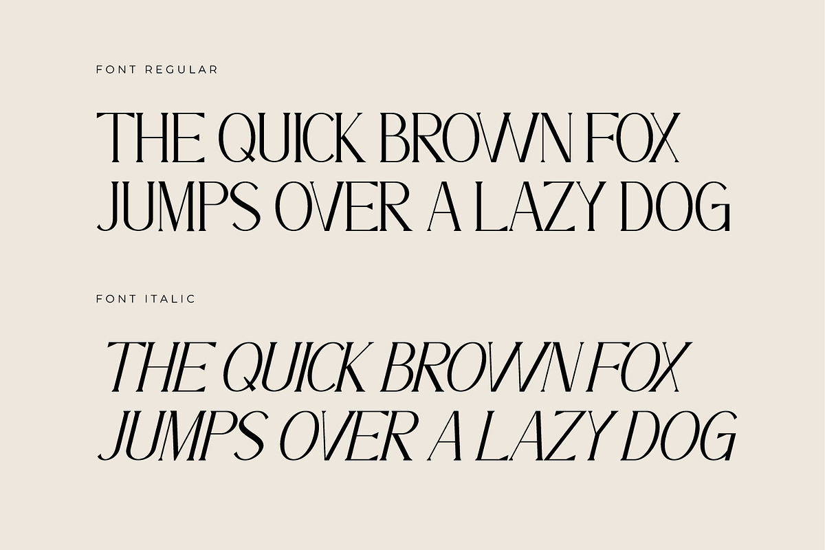 Zelvian - Modern Serif Font, a Serif Font by Rishsketch (Photo 11 of 15)