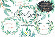 Eucalyptus Watercolor Greenery, a Healthcare Illustration by LABFcreations (Thumbnail 3 of 11)