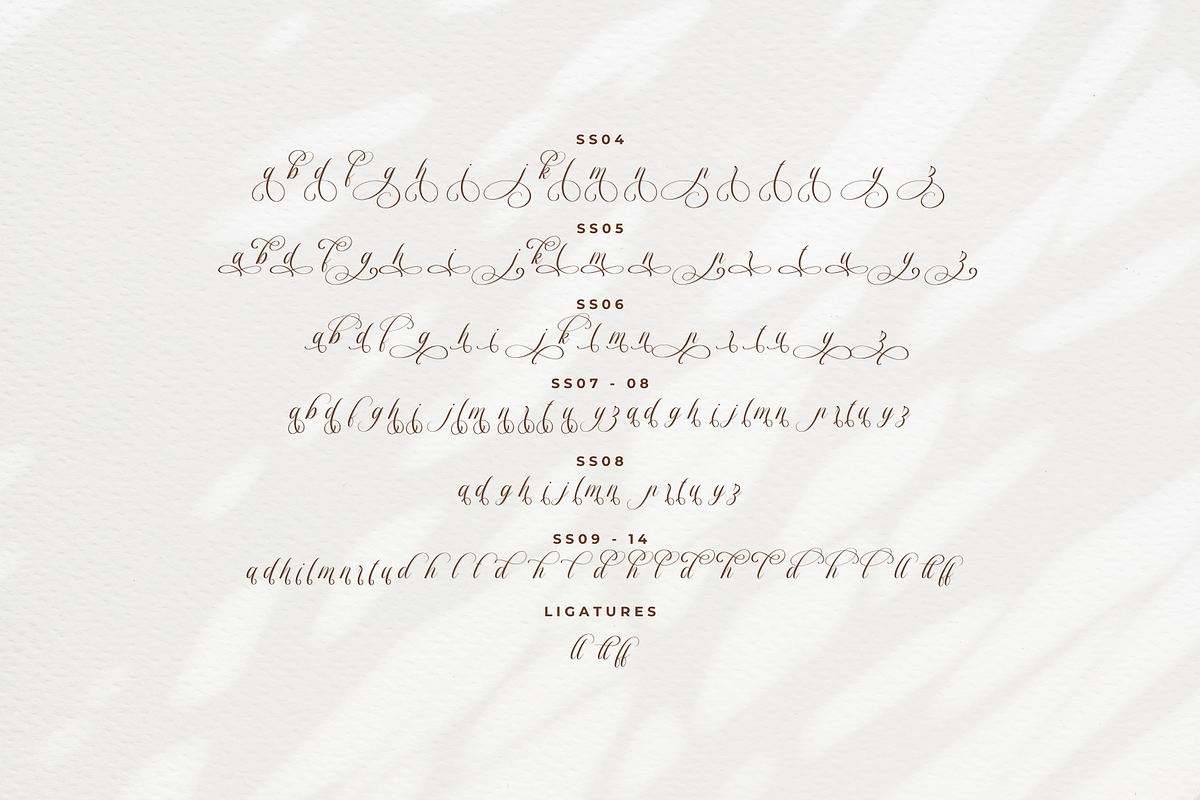 Dellanor Script - A Wedding Font, a Script Font by Ainun Jinan (Photo 9 of 10)