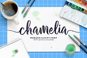 Chamelia Script, a Script Font by Areatype (Thumbnail 1 of 10)