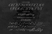 Scarlet Flettcher Elegant Calligraph, a Script Font by Storytype Studio (Thumbnail 12 of 14)