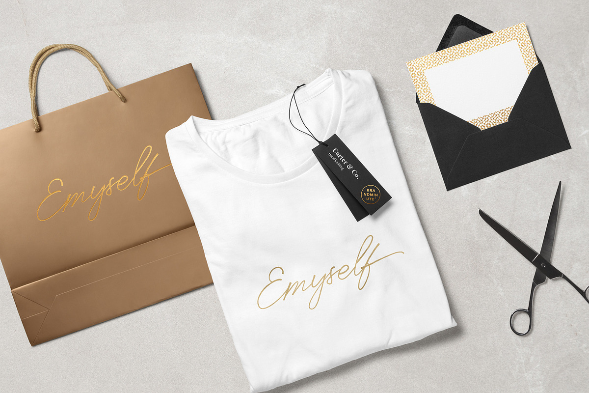 Anaheim script pro font ( update ), a Script Font by Emyself Design (Photo 9 of 12)