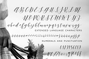 Argentinian Nights PRO modern script, a Script Font by INKMETHIS (Thumbnail 5 of 5)