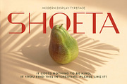 Shoeta, a Symbol Font by Ditatype (Thumbnail 11 of 11)