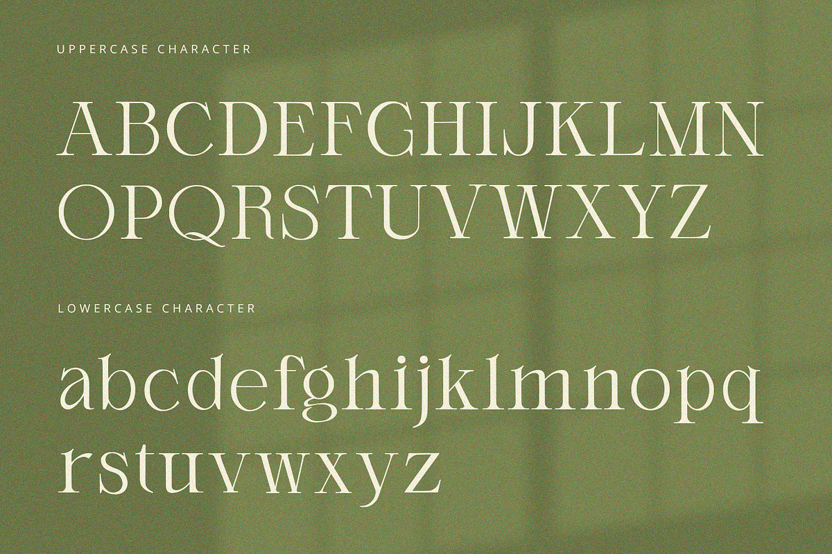Orlington - Serif Font, a Serif Font by Alpaprana (Photo 7 of 9)