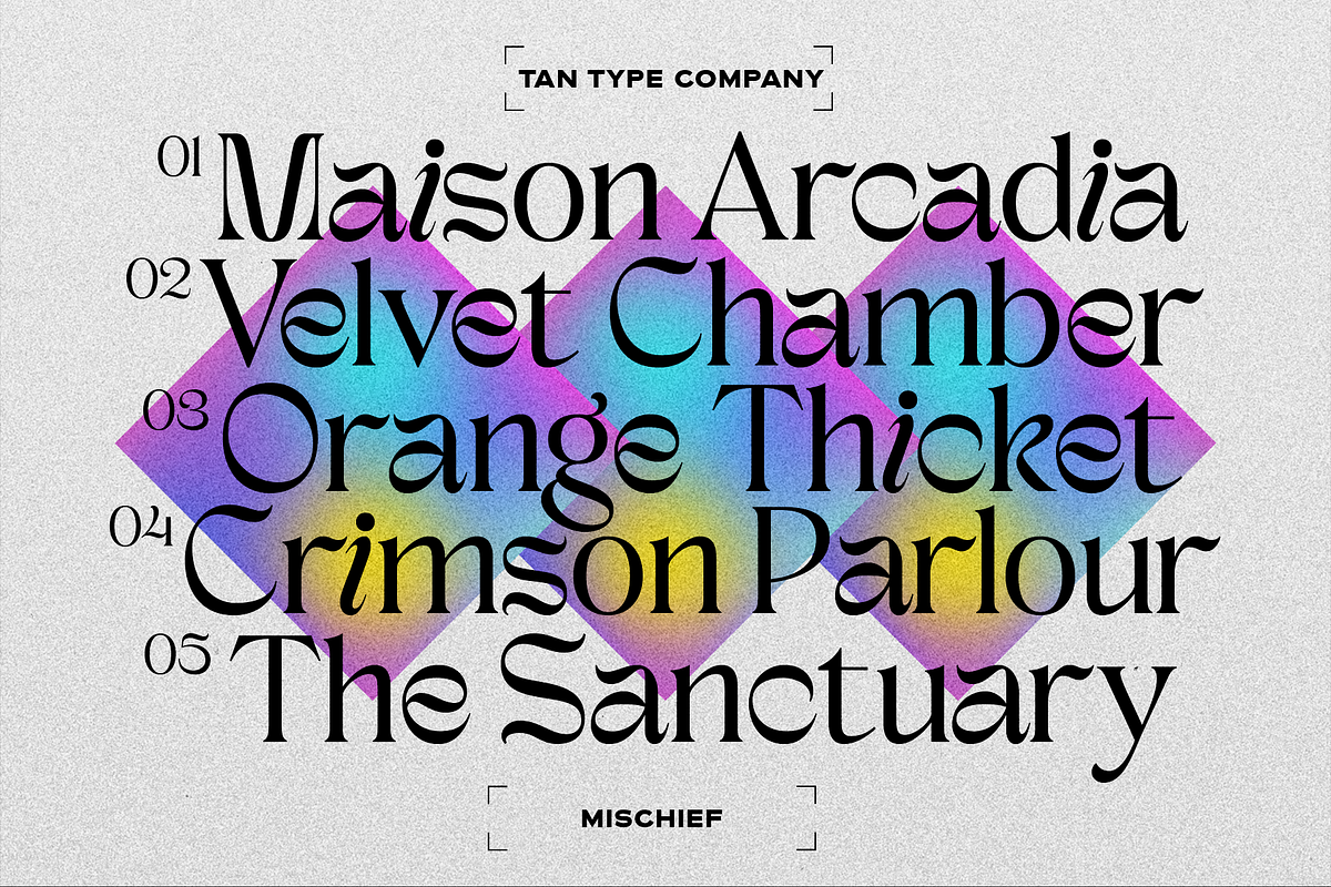 TAN - MISCHIEF, a Font by TanType (Photo 5 of 11)