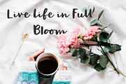 Pommie, a Script Font by Artstudio (Thumbnail 3 of 12)