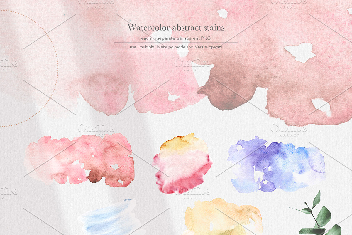 Cotton Botany Watercolor Collection, a Decorative Illustration by Volha Studio (Photo 7 of 9)