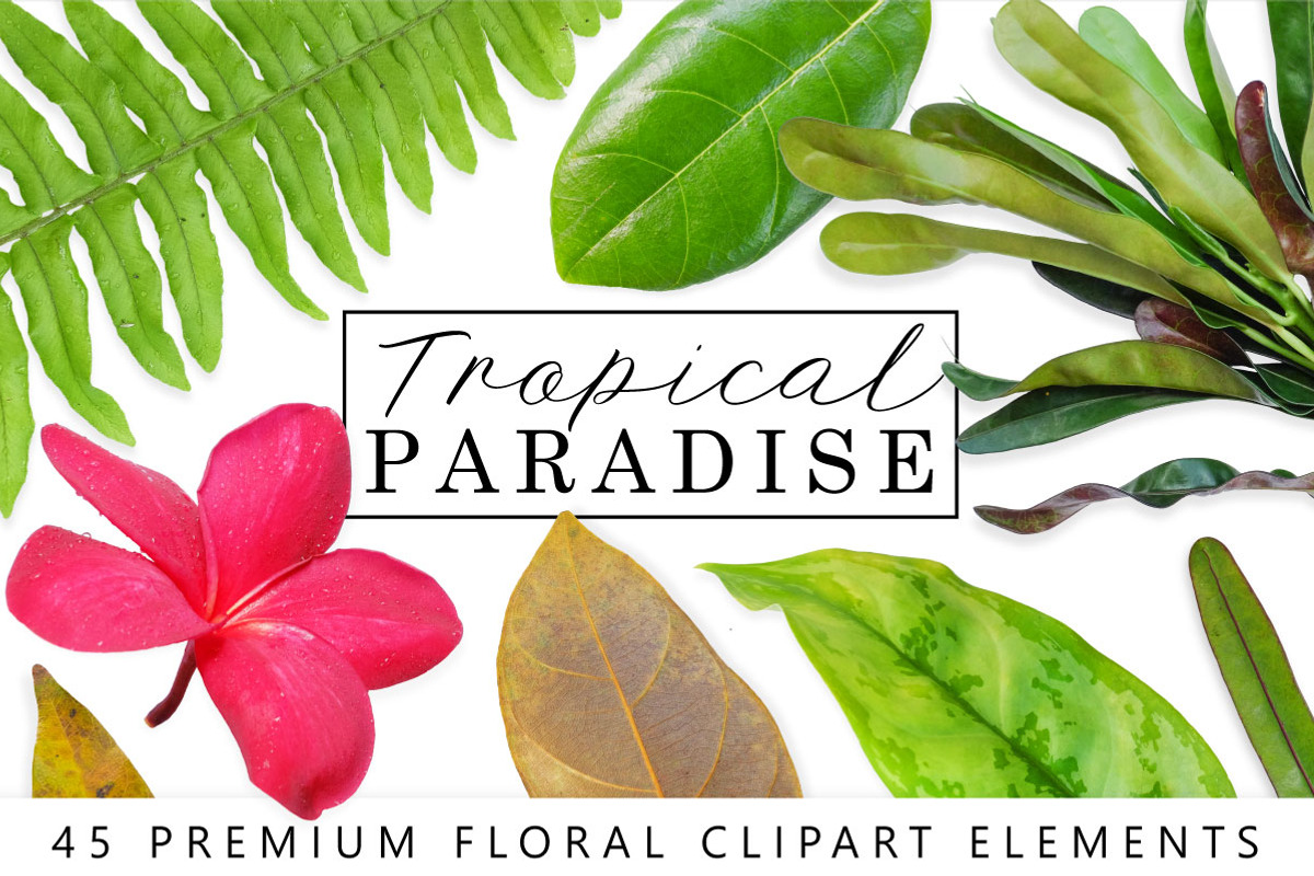Tropical Leaves & Flowers Bundle, a Nature Photo by Drifter Studio PrintShop (Photo 1 of 3)