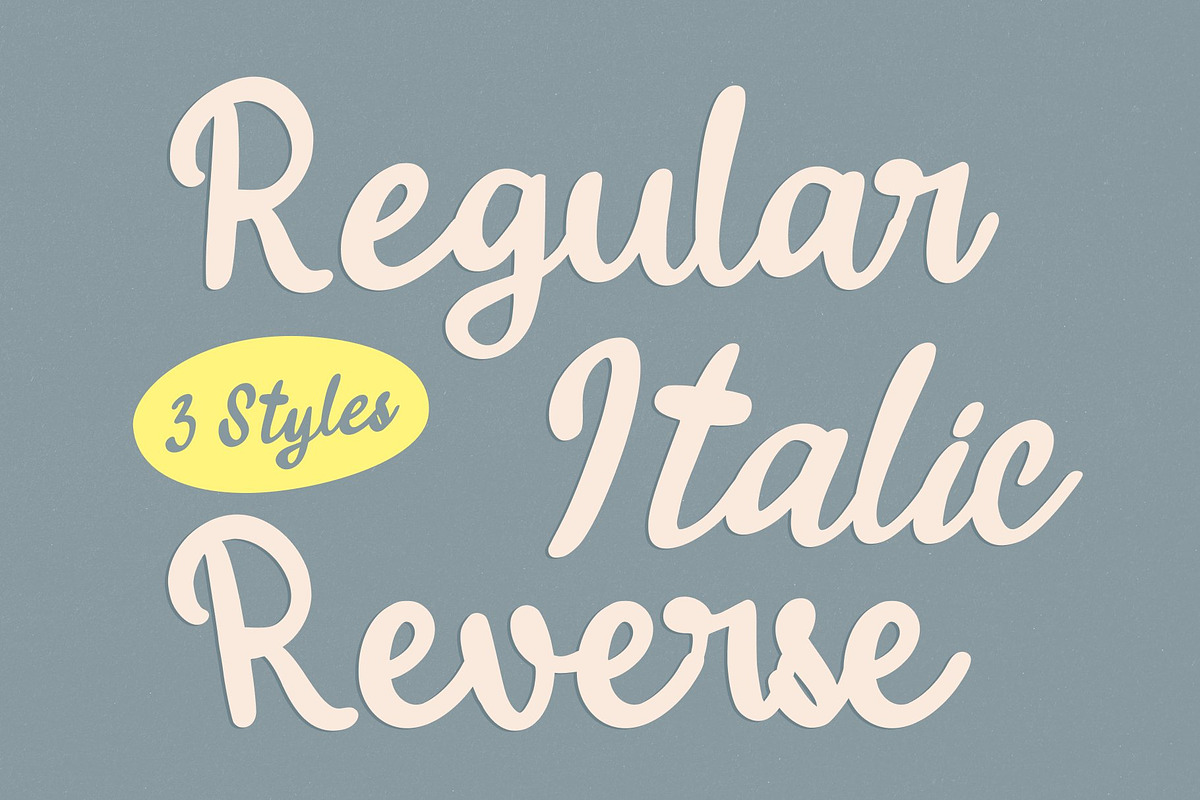 CS Nelida - Summer Bold Script Font, a Script Font by Craft Supply Co. (Photo 5 of 8)