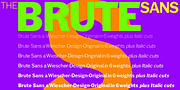 Brute Sans, a Sans Serif Font by Wiescher-Design (Thumbnail 4 of 7)