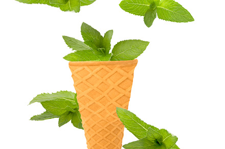 Ice cream cones with ingredients fal featuring fly, flying, and sprigs, a Food & Drink Photo by Rodica Ciorba
