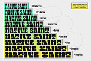 TNSC Bink - Slab Serif Display, a Slab Serif Font by The Native Saint Club (Thumbnail 4 of 16)