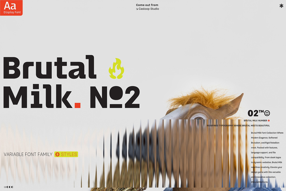 Brutal Milk No 2 - Display 9 Fonts, a Sans Serif Font by Casloop Studio (Photo 1 of 7)