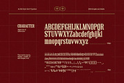 Seryfold, a Serif Font by graphicook (Thumbnail 3 of 10)
