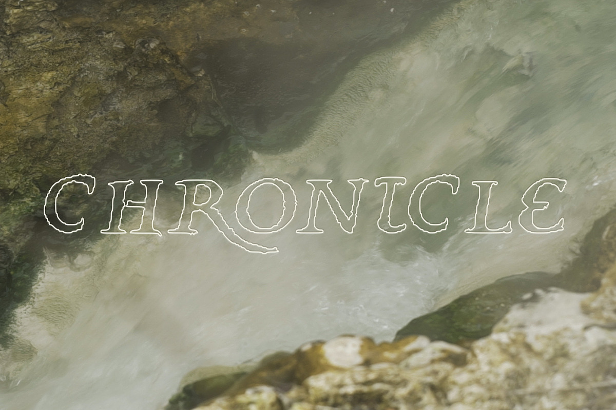 Specimen 1651: Vintage Font Family, a Serif Font by Mneme (Photo 11 of 14)