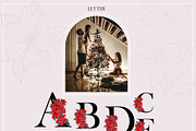Poinsettia. Christmas Flower, an Object Illustration by ma_i_vi (Thumbnail 3 of 10)